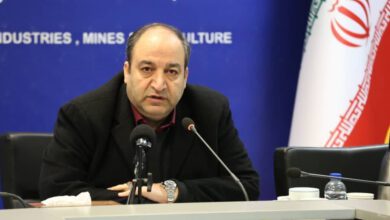 قش برجسته بخش خصوصی در پایداری بازار و حمایت از تولید