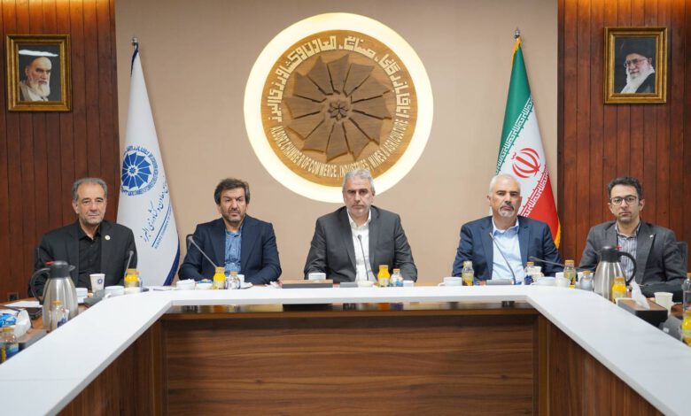 ظرفیت‌های بخش خصوصی به ابزار واقعی حمایت از تولید تبدیل شود
