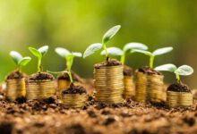 نقش دولت در توسعه گردشگری پایدار