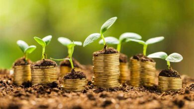 نقش دولت در توسعه گردشگری پایدار
