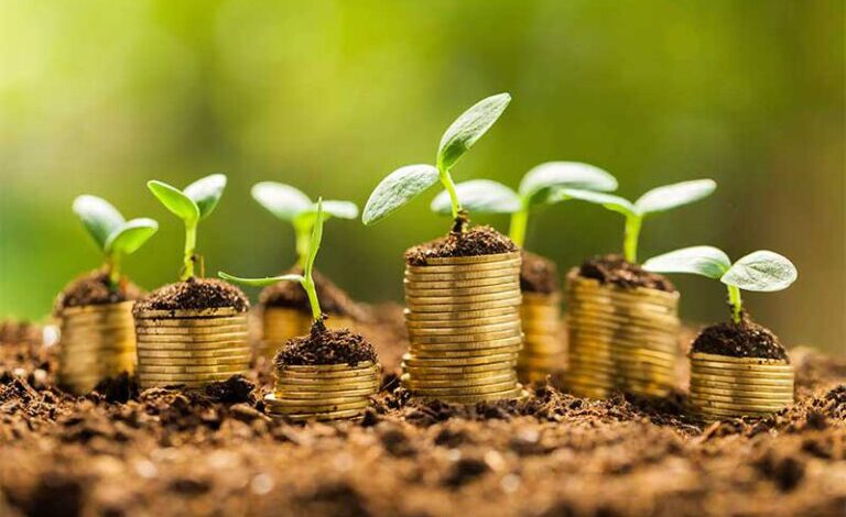 نقش دولت در توسعه گردشگری پایدار