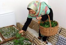 مهم‌ترین مشکل صاحبان مشاغل خانگی چیست؟