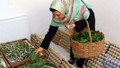 مهم‌ترین مشکل صاحبان مشاغل خانگی چیست؟