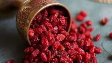 زرشک ایرانی به سفره کدام کشورها می‌رود؟