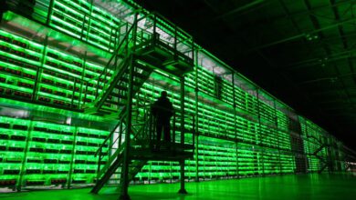 مسیر ماینرها با کاهش سود سبز شد