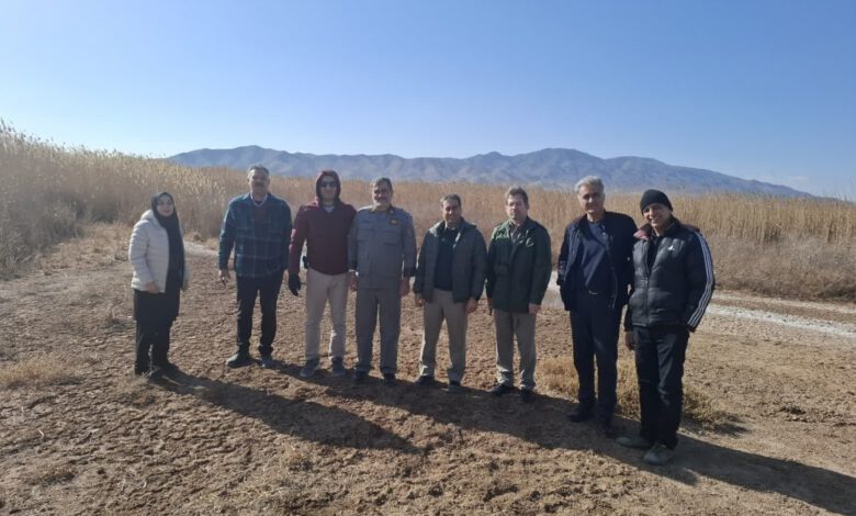 سرشماری زمستانه پرندگان در ماهدشت کرج