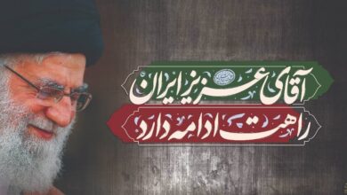 شاه‌ بیت سخنرانی‌های رهبر شهید «تولید و اشتغال» بود